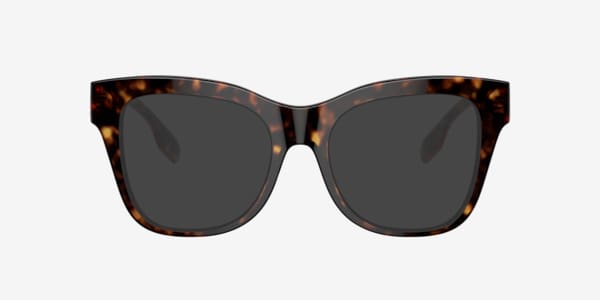 Dark Havana BE2388 -  Acetate