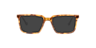 Murphy Havana Honey PlasticEyeglass Frames for Glasses Direct, with Tinted Lenses