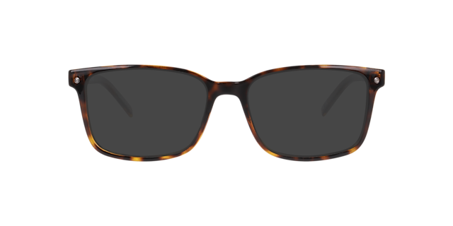 LV 5091 Tortoise PlasticEyeglass Frames for Glasses Direct, with Tinted Lenses