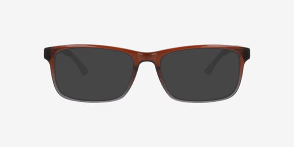 Brown Cuscorex -  Acetate