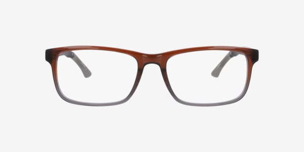 Brown Cuscorex -  Acetate