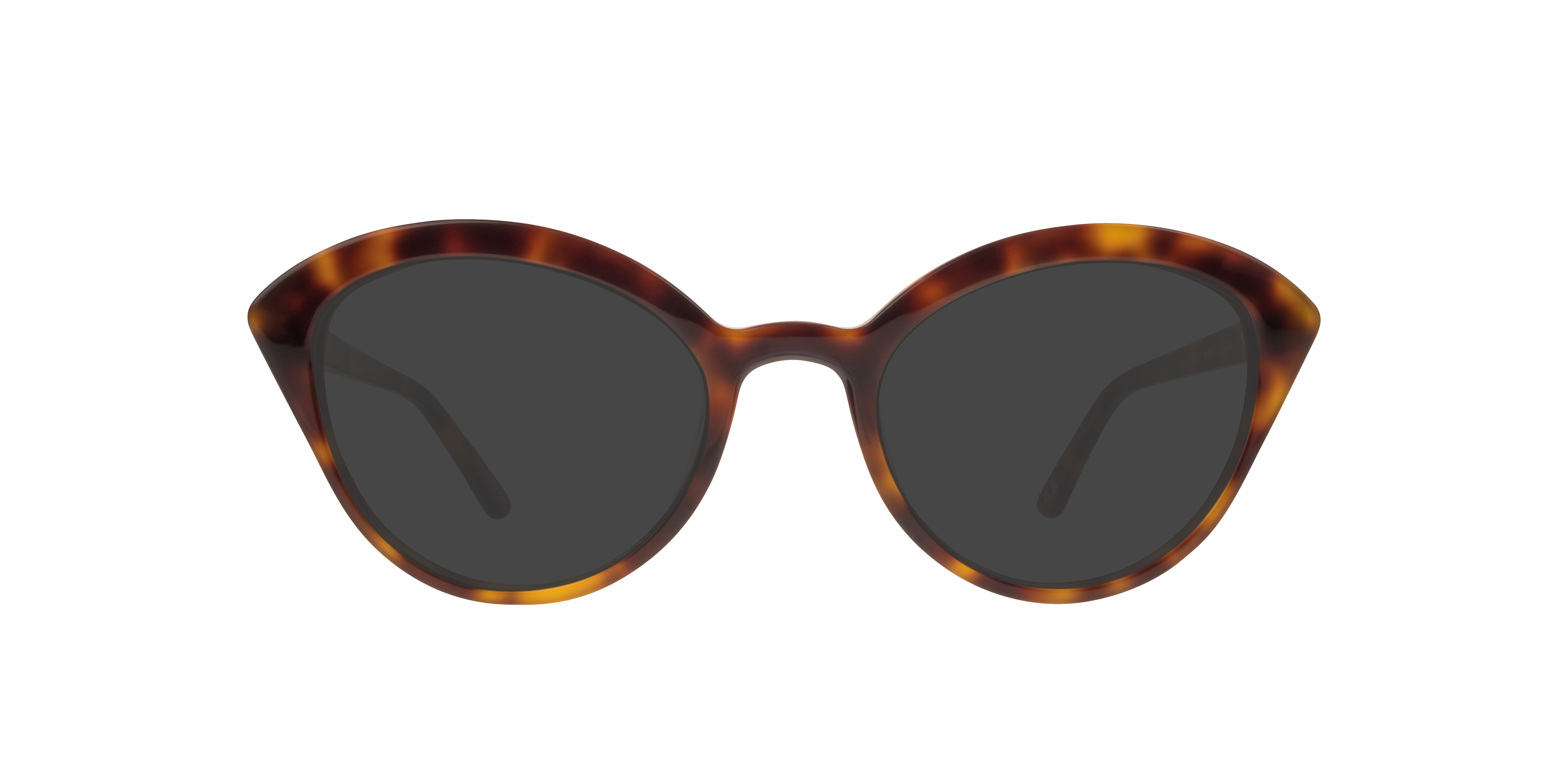 Harley Havana AcetateSunglass Frames for Glasses Direct, with Tinted Lenses