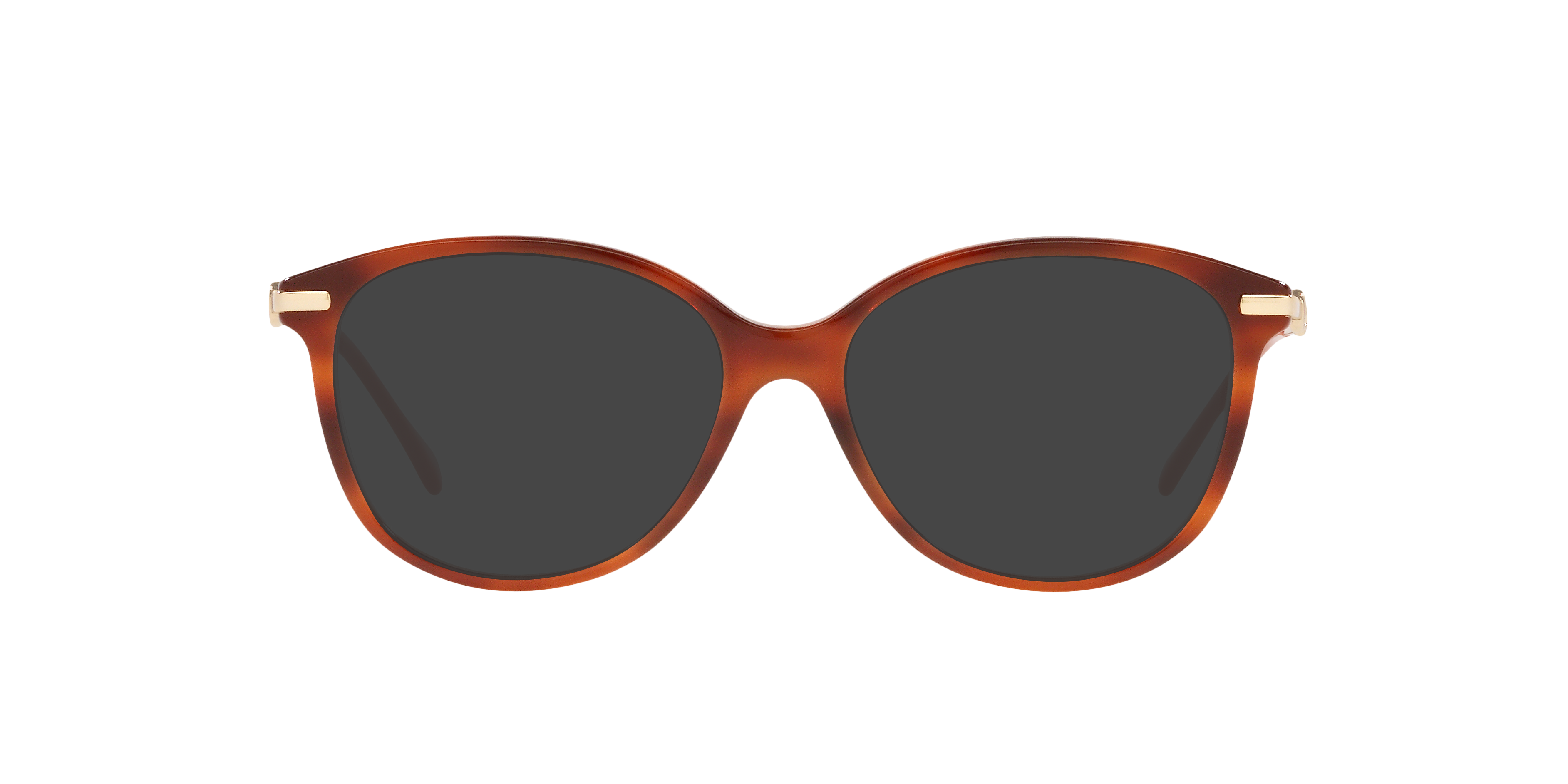 GG0967O Tortoise AcetateEyeglass Frames for Glasses Direct, with Tinted Lenses