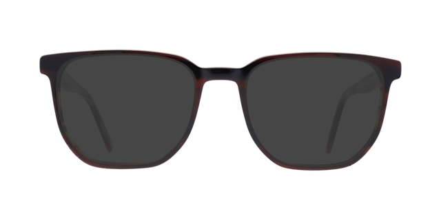 NINETEEN Brown AcetateEyeglass Frames for Glasses Direct, with Tinted Lenses