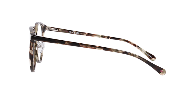 Nina Havana Champaign AcetateEyeglass Frames for Glasses Direct, Side View