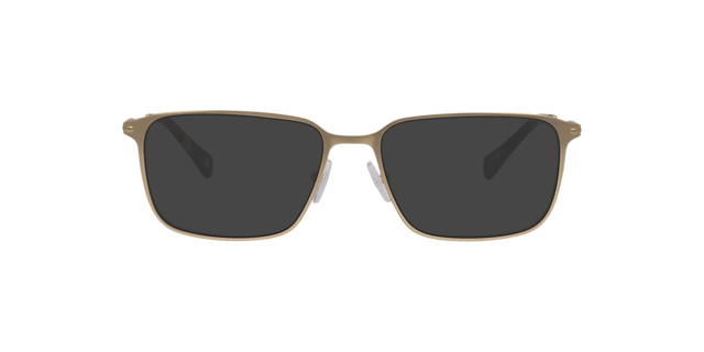 Malden Gold MetalEyeglass Frames for Glasses Direct, with Tinted Lenses