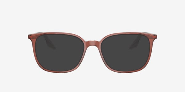 Brown On Transparent RB5406 -  Acetate