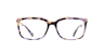 Delores Purple Havana AcetateEyeglass Frames for Glasses Direct, Front View