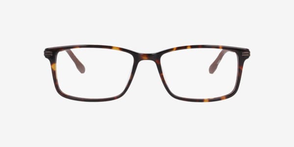 Tortoise Nb4200 -  Acetate