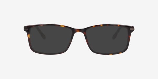Tortoise Nb4200 -  Acetate