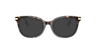 BE2391 Dark Havana AcetateEyeglass Frames for Glasses Direct, with Tinted Lenses