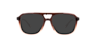 Max Gradient Brown PlasticEyeglass Frames for Glasses Direct, with Tinted Lenses