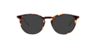 Madison Havana Brown AcetateEyeglass Frames for Glasses Direct, with Tinted Lenses