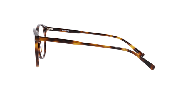 Madison Havana Brown AcetateEyeglass Frames for Glasses Direct, Side View