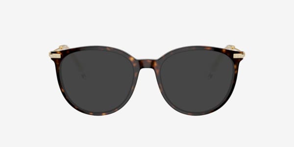Dark Havana SK2009 -  Acetate