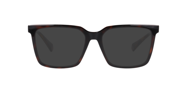 PLD D556/C Tortoise PlasticEyeglass Frames for Glasses Direct, with Tinted Lenses