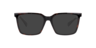 PLD D556/C Tortoise PlasticEyeglass Frames for Glasses Direct, with Tinted Lenses