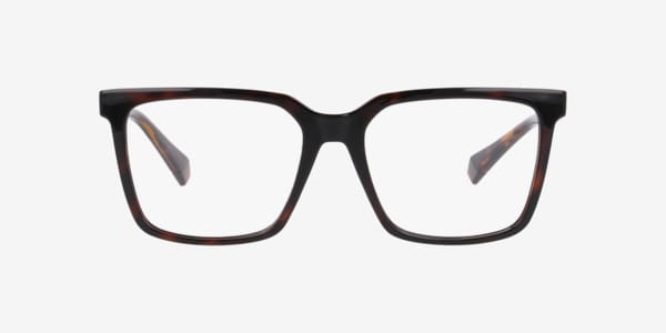Tortoise PLD D556/C -  Plastic