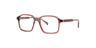 Martie Crystal Brown AcetateEyeglass Frames for Glasses Direct, Angle View