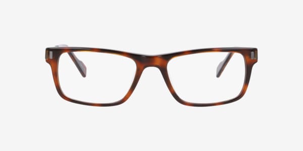 Tortoise Bsbroadway -  Acetate