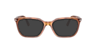 PO3298V Terra Di Siena AcetateEyeglass Frames for Glasses Direct, with Tinted Lenses