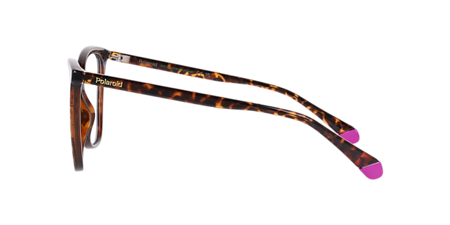 PLD D579 Tortoise PlasticEyeglass Frames for Glasses Direct, Side View