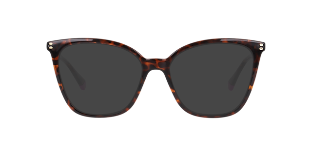 PLD D579 Tortoise PlasticEyeglass Frames for Glasses Direct, with Tinted Lenses