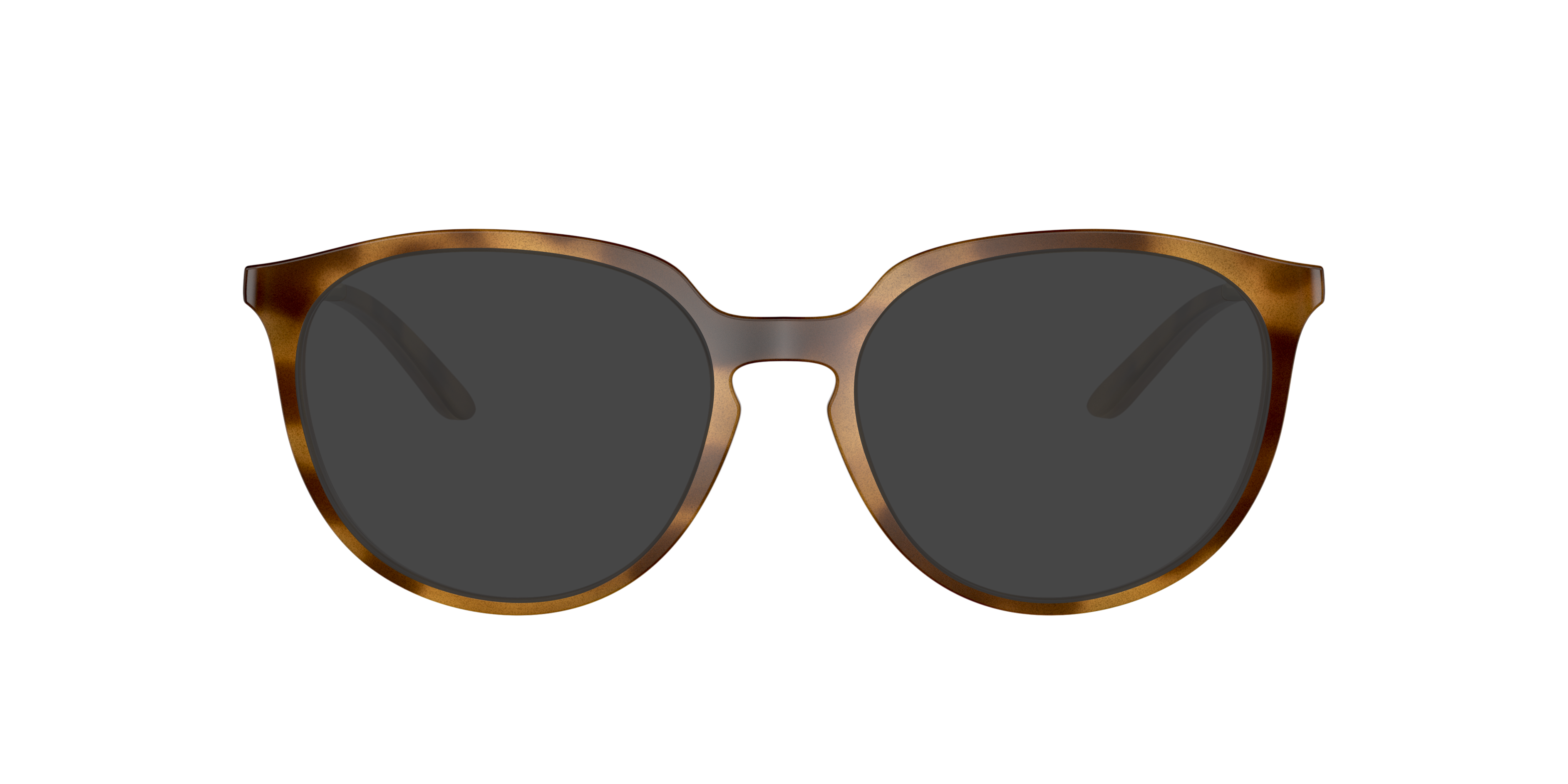 BMNG Satin Brown Tortoise PlasticEyeglass Frames for Glasses Direct, with Tinted Lenses
