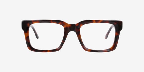 Tortoise Nb4207 -  Acetate