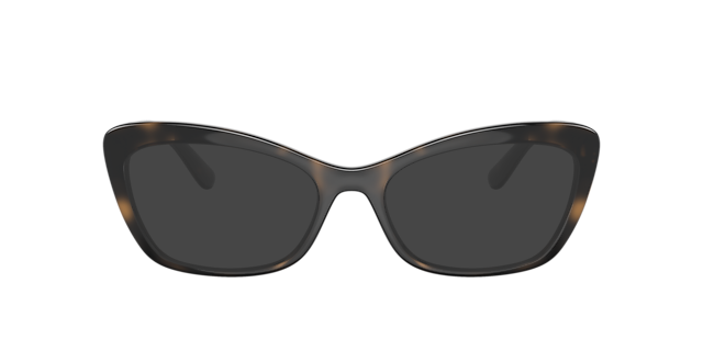 DG5082 Havana PlasticEyeglass Frames for Glasses Direct, with Tinted Lenses