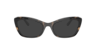DG5082 Havana PlasticEyeglass Frames for Glasses Direct, with Tinted Lenses