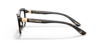 DG5082 Havana PlasticEyeglass Frames for Glasses Direct, Side View