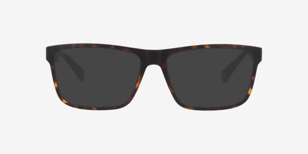 Tortoise PLD D569 -  Plastic