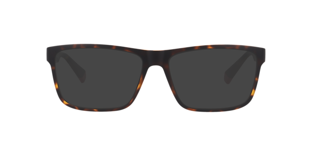 PLD D569 Tortoise PlasticEyeglass Frames for Glasses Direct, with Tinted Lenses