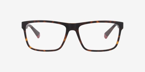 Tortoise PLD D569 -  Plastic