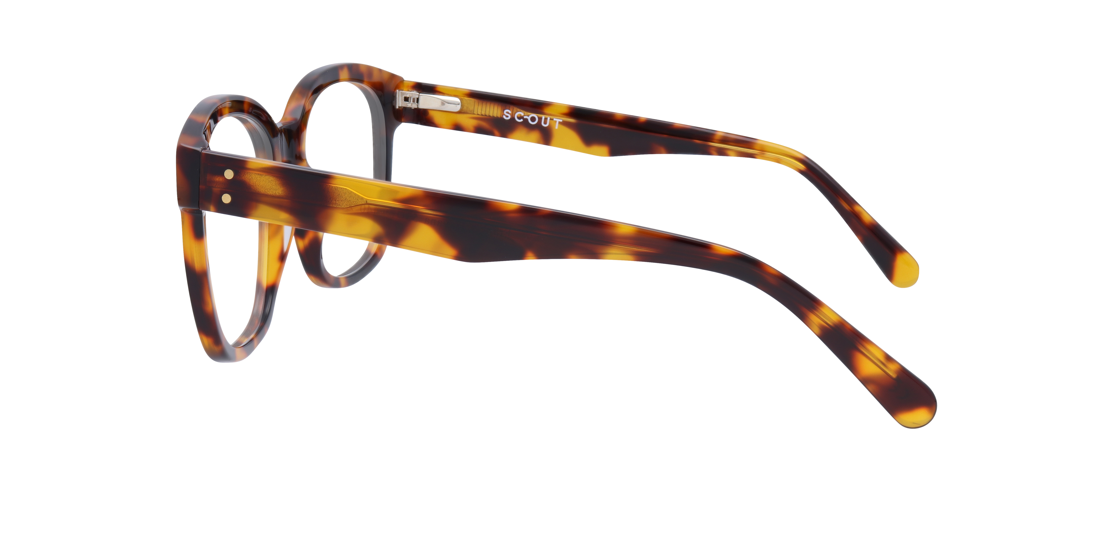Francis Havana AcetateEyeglass Frames for Glasses Direct, Side View
