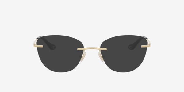 Shiny Light Gold HC5185 -  Metal