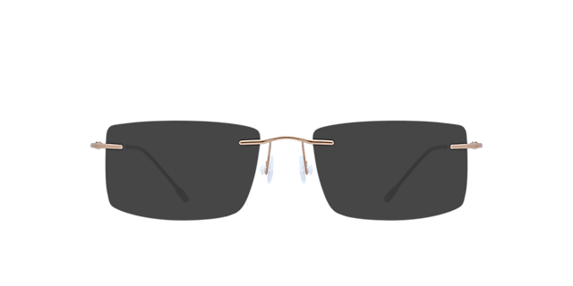 Guardian Bronze TitaniumEyeglass Frames for Glasses Direct, with Tinted Lenses