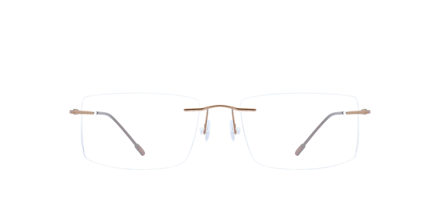 Guardian Bronze TitaniumEyeglass Frames for Glasses Direct, Front View