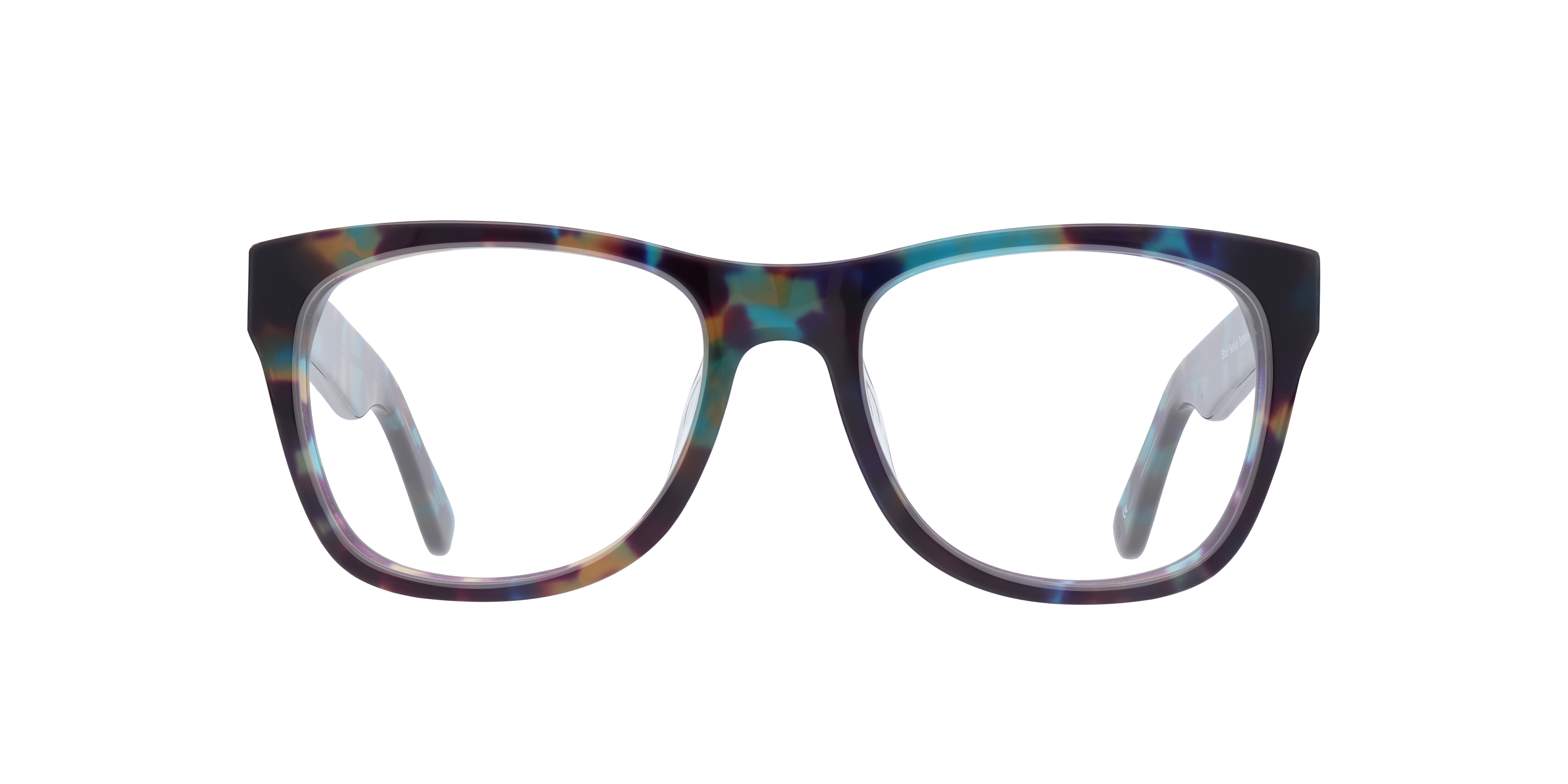 Festival Tortoise & Blue AcetateEyeglass Frames for Glasses Direct, Front View