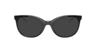DG5084 Black PlasticEyeglass Frames for Glasses Direct, with Tinted Lenses
