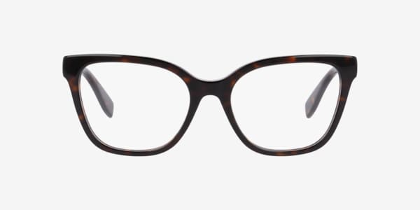 Tortoise Marc 816 -  Acetate