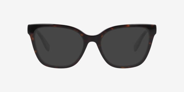 Tortoise Marc 816 -  Acetate