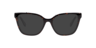 Marc 816 Tortoise AcetateEyeglass Frames for Glasses Direct, with Tinted Lenses