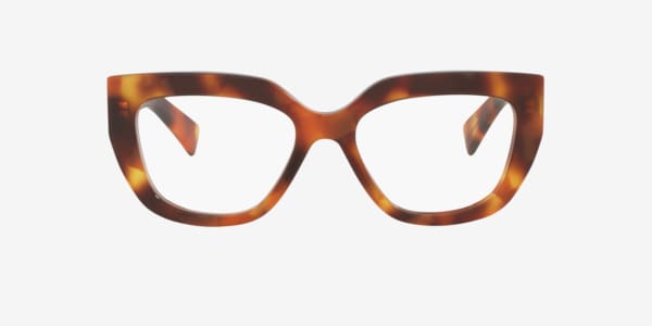 Tortoise GG1847O -  Acetate