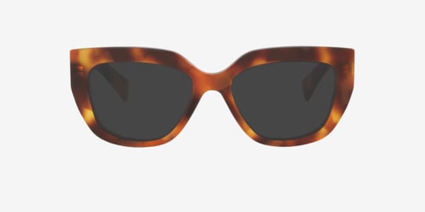 Tortoise GG1847O -  Acetate