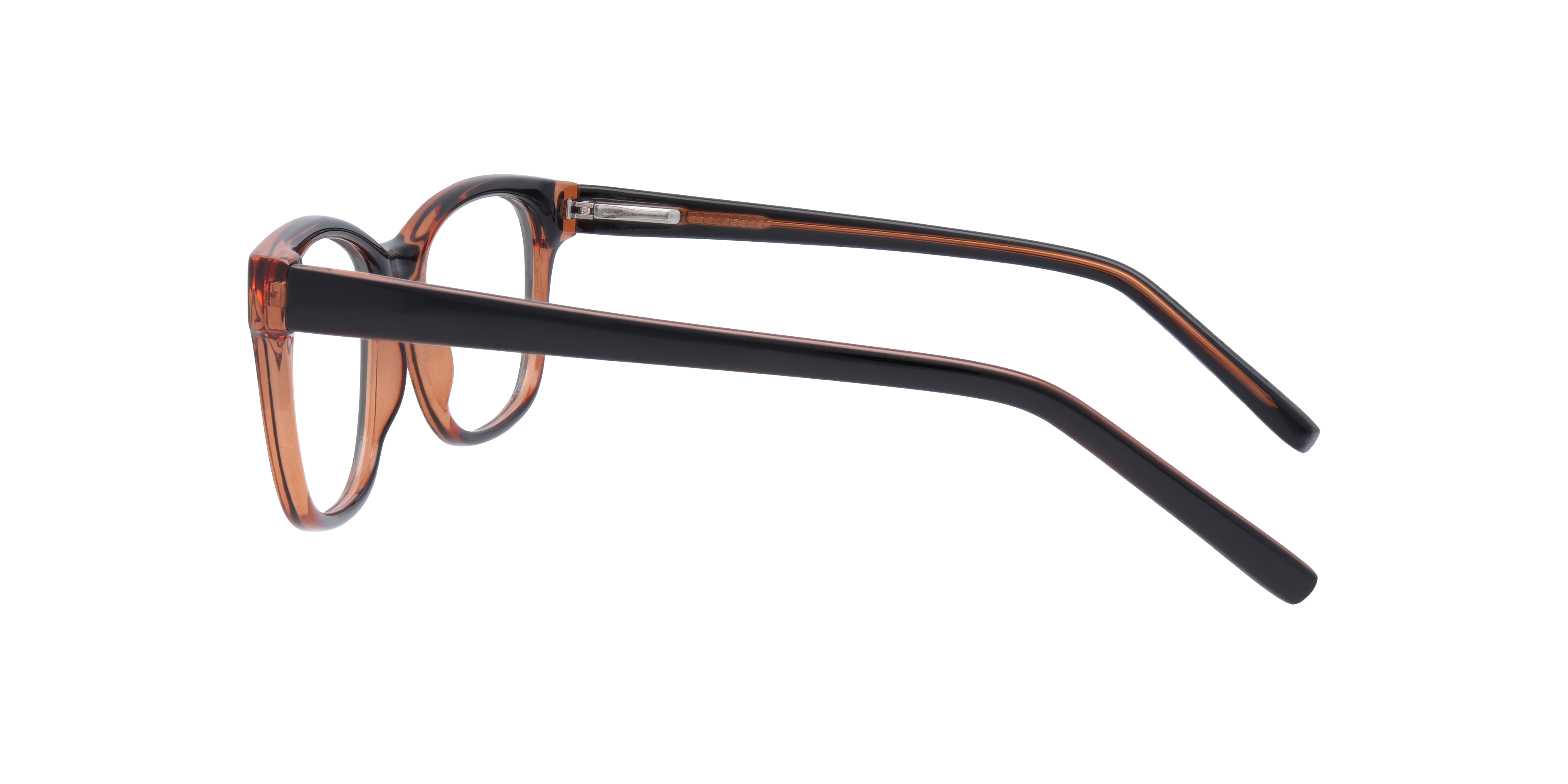 Diallo Black & Brown PlasticEyeglass Frames for Glasses Direct, Side View