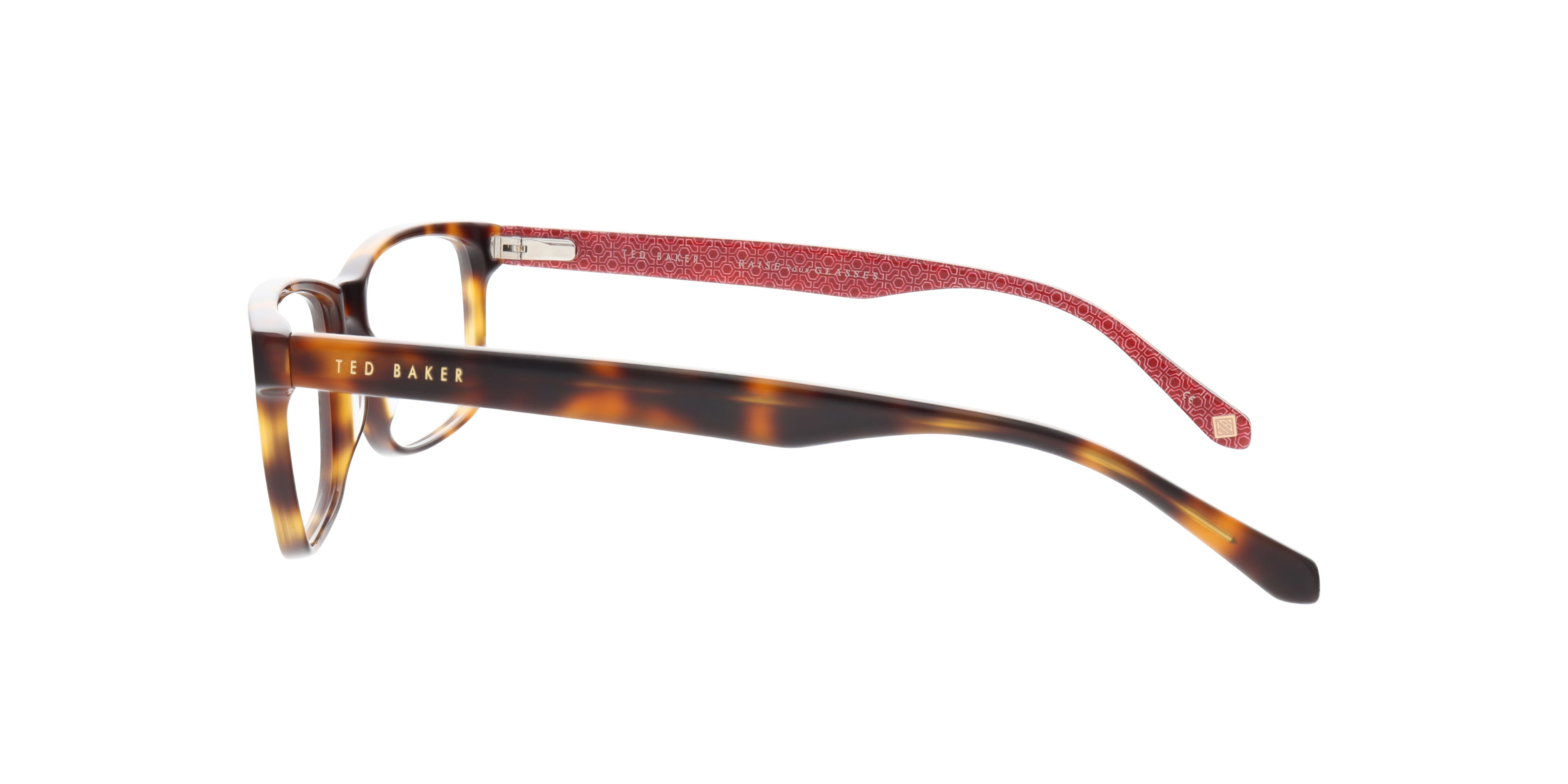 TB8231 Brown AcetateEyeglass Frames for Glasses Direct, Side View
