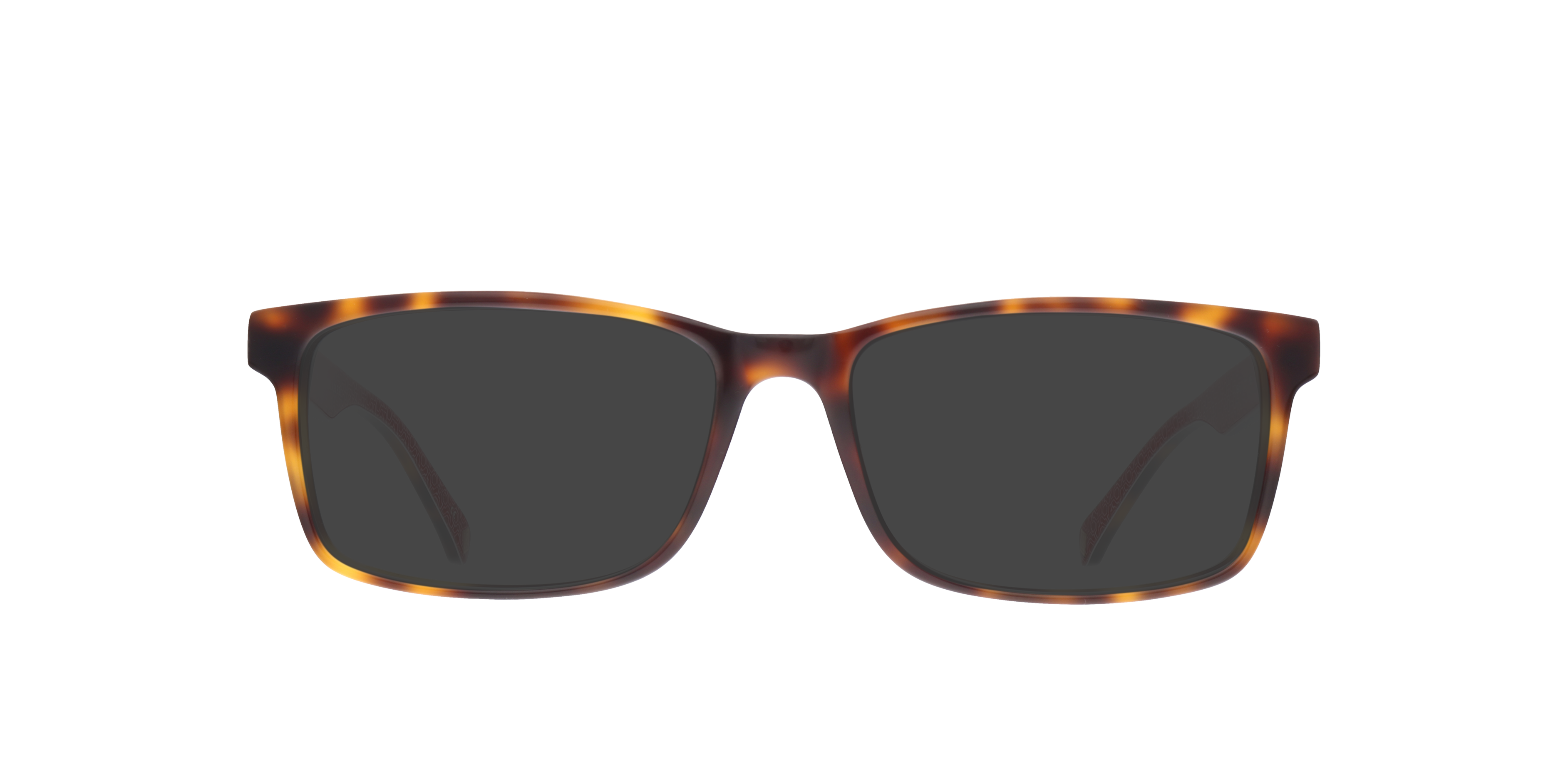 TB8231 Brown AcetateEyeglass Frames for Glasses Direct, with Tinted Lenses