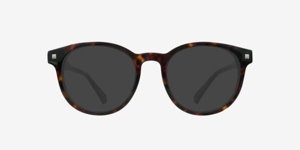 Tortoise PLD D519 -  Acetate